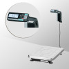 Весы с печатью этикеток TB-S-32.2-RL1 