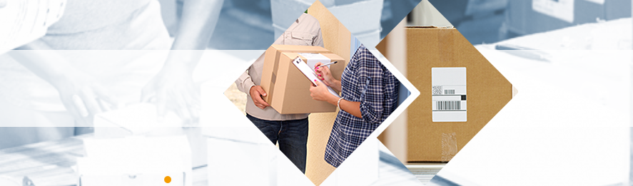 ТСД Newland в городе Краснодар